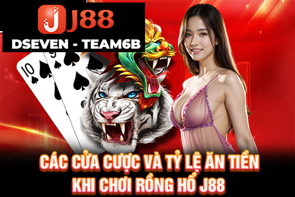 Các cửa cược và tỷ lệ ăn tiền khi chơi Rồng Hổ J88