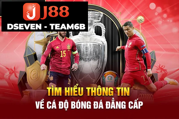 processed tim hieu thong tin ve ca do bong da dang cap